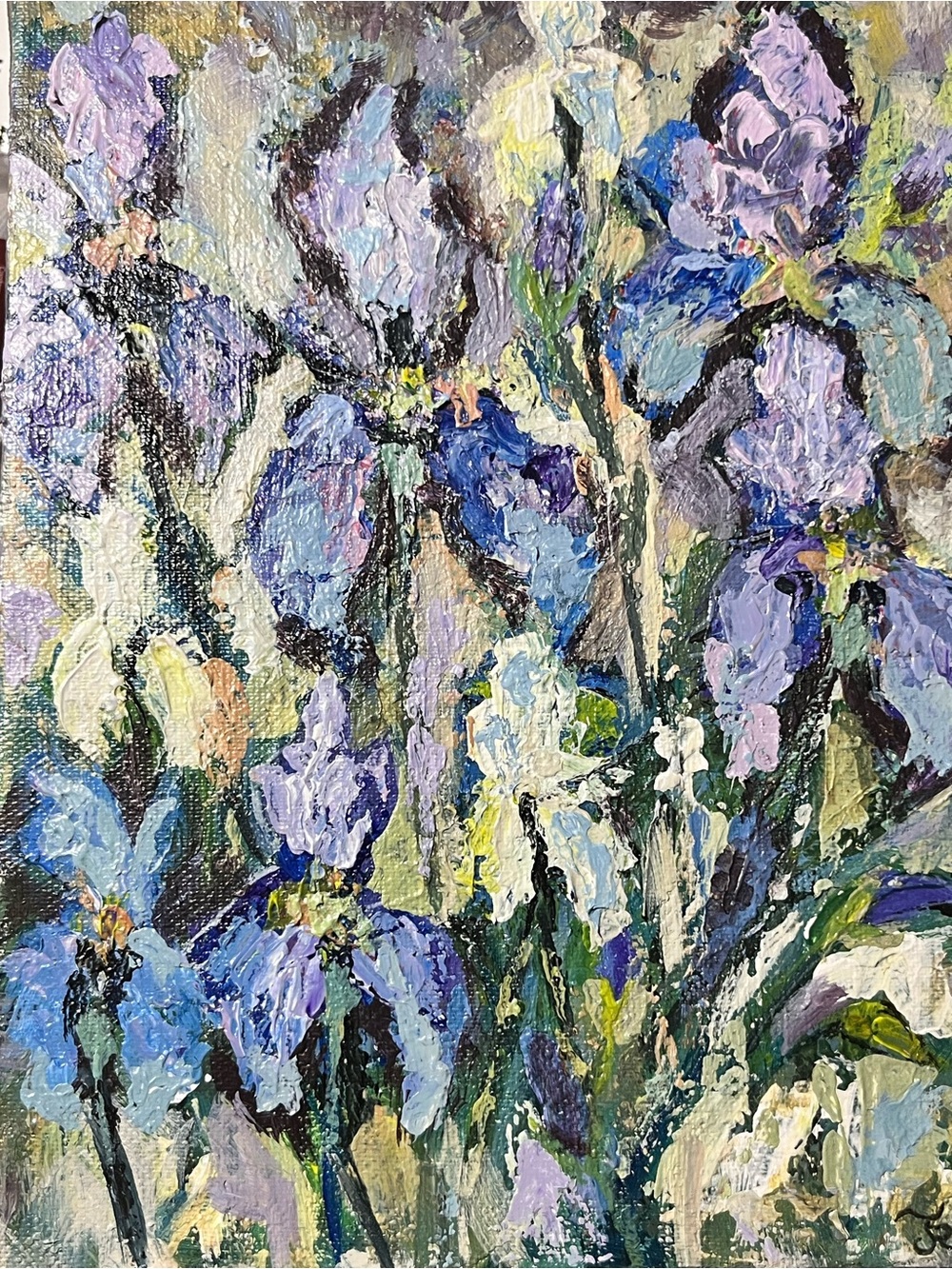Original acrylic painting of blue irises. 6”x8”